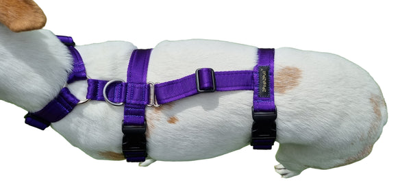 Arnés corporal (hecho a medida; consulte la guía de medición)