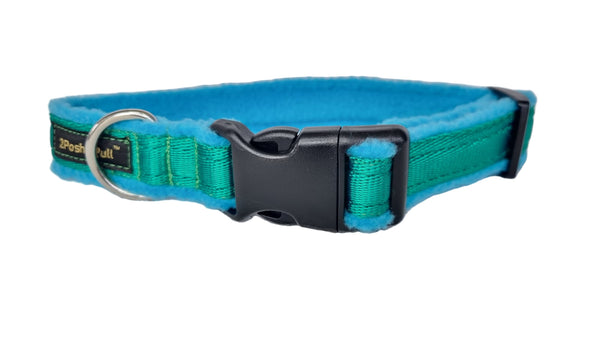Colour Collar - Green