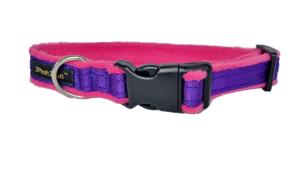 Colour Collar - Purple