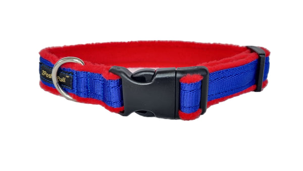 Colour Collar - Royal Blue