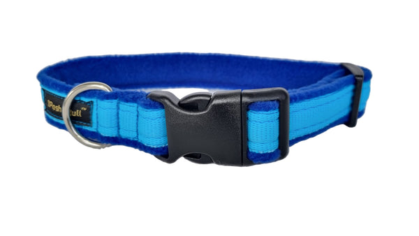 Colour Collar - Turquoise