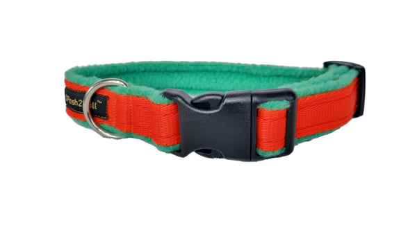 Colour Collar - Orange