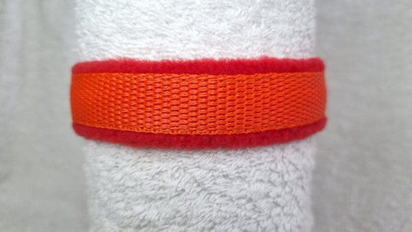 Colour Collar - Orange