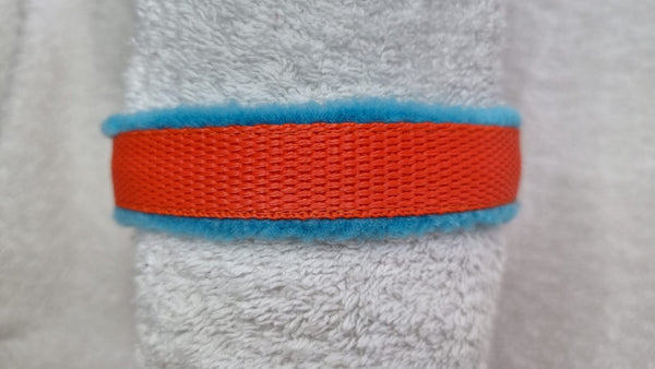 Colour Collar - Orange