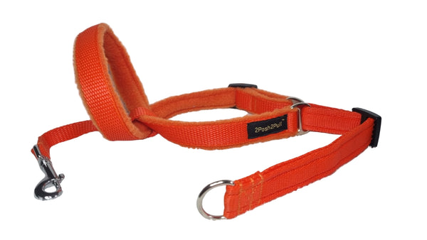 Colour 2Posh2Pull™ - Orange