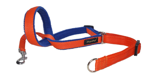 Colour 2Posh2Pull™ - Orange