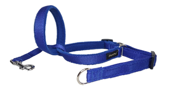 Colour 2Posh2Pull™ - Royal Blue