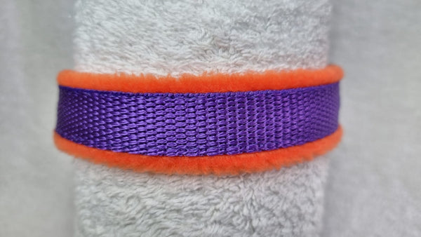 Colour Collar - Purple