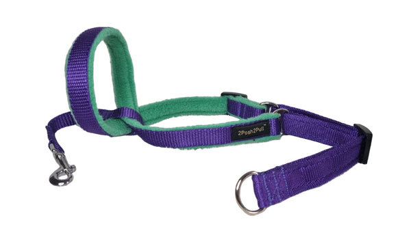 Colour 2Posh2Pull™ - Purple