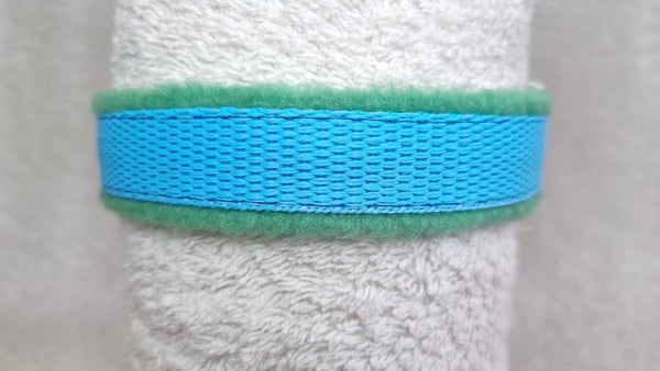 Colour Collar - Turquoise