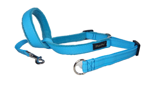 Colour 2Posh2Pull™ - Turquoise