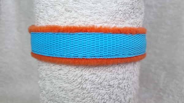 Colour Collar - Turquoise