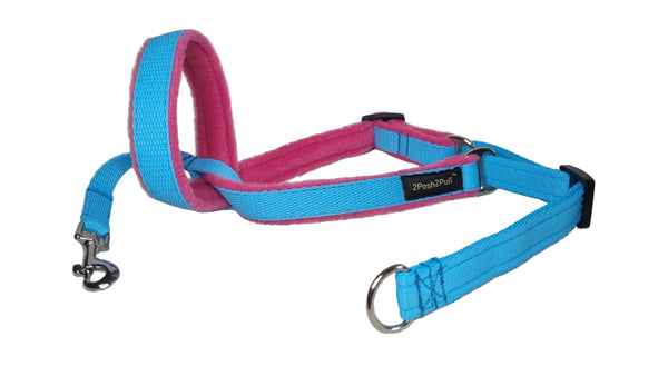 Colour 2Posh2Pull™ - Turquoise