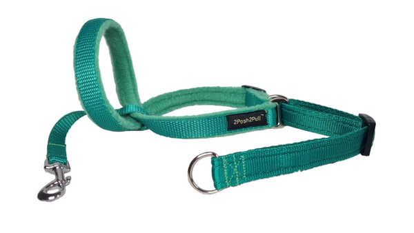 Colour 2Posh2Pull™ - Green