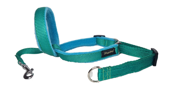 Colour 2Posh2Pull™ - Green