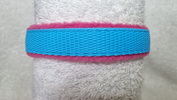 Colour Collar - Turquoise