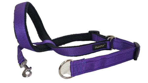 Colour 2Posh2Pull™ - Purple