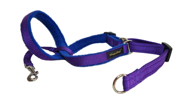 Colour 2Posh2Pull™ - Purple