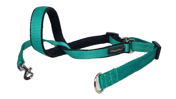 Colour 2Posh2Pull™ - Green