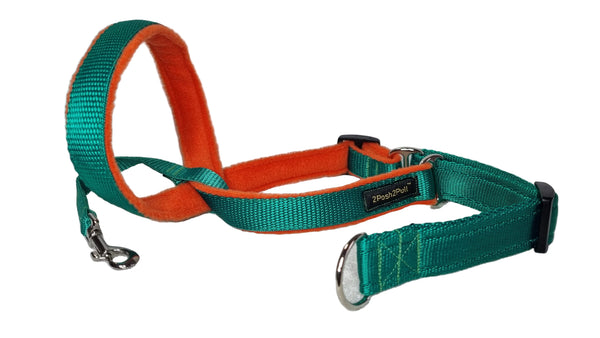 Colour 2Posh2Pull™ - Green