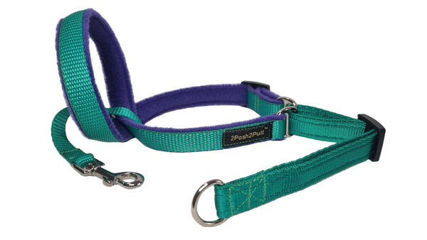 Colour 2Posh2Pull™ - Green