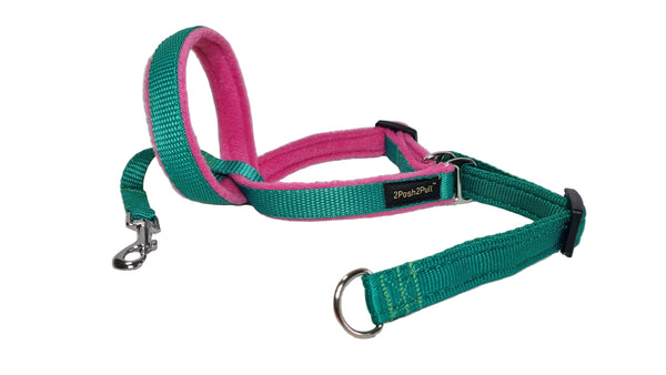 Colour 2Posh2Pull™ - Green