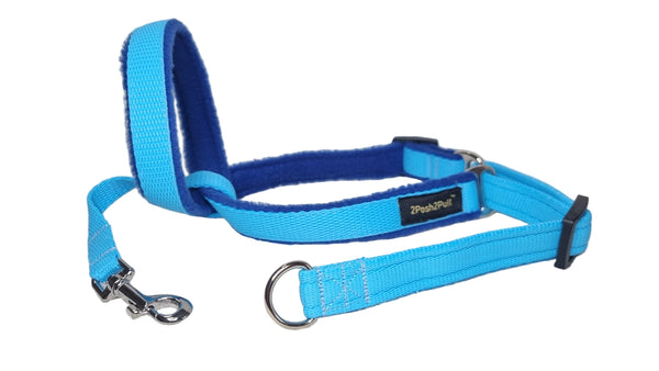 Colour 2Posh2Pull™ - Turquoise