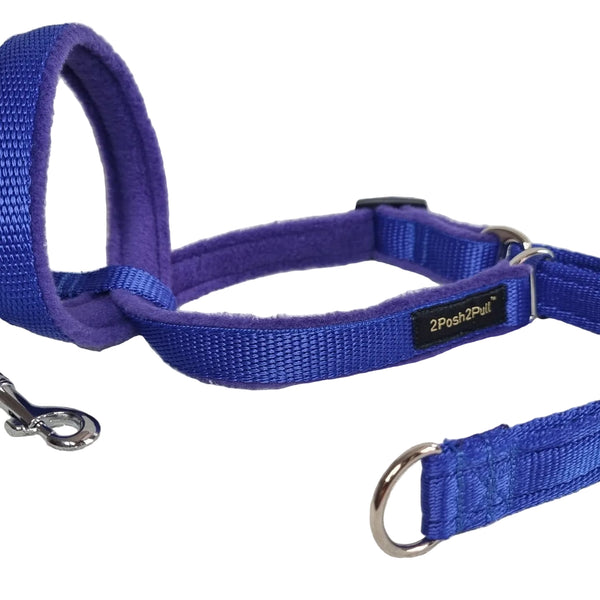 Colour 2Posh2Pull™ - Royal Blue