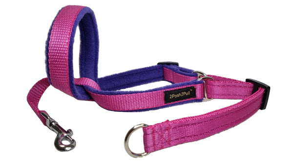 Colour 2Posh2Pull™ - Pink