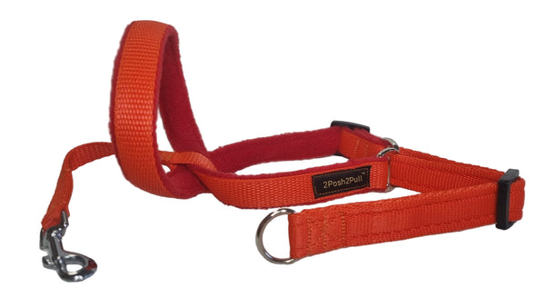 Colour 2Posh2Pull™ - Orange