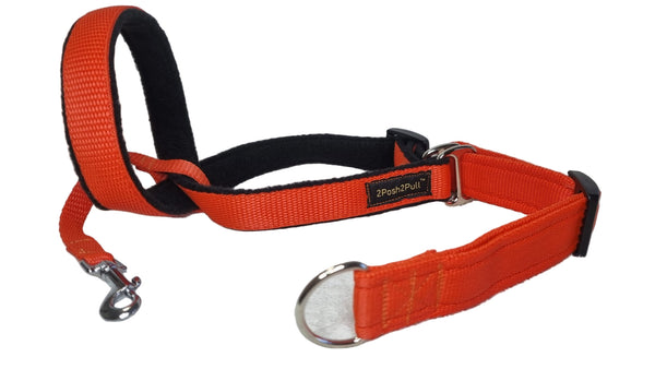 Colour 2Posh2Pull™ - Orange