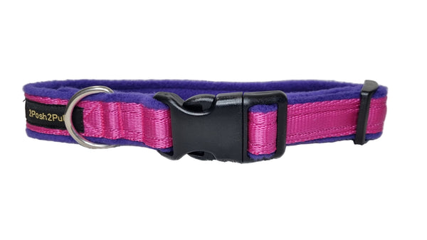Colour Collar - Pink
