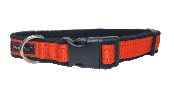 Colour Collar - Orange