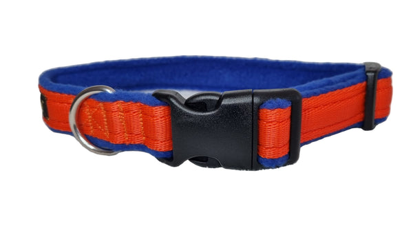 Colour Collar - Orange