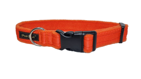 Colour Collar - Orange