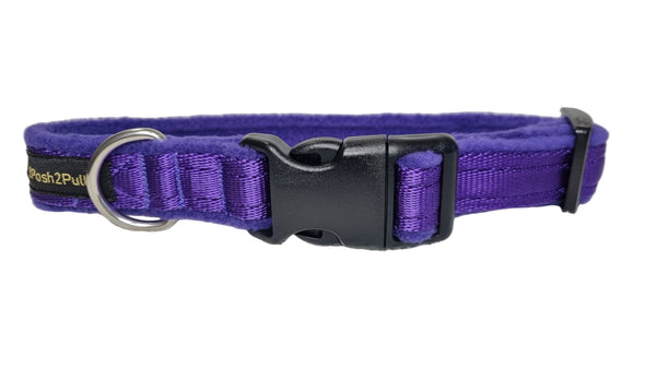Colour Collar - Purple