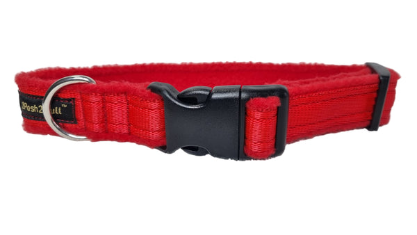 Colour Collar - Red