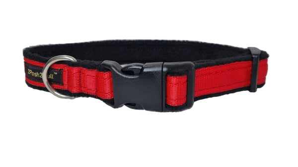 Colour Collar - Red
