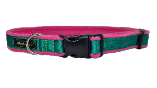 Colour Collar - Green