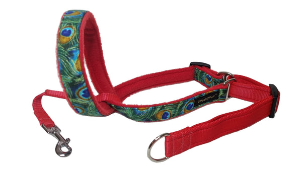 Luxury 2Posh2Pull™ - Peacock