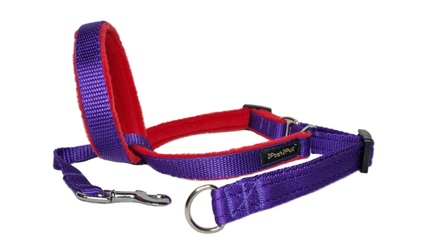 Colour 2Posh2Pull™ - Purple