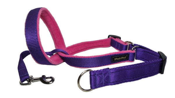 Colour 2Posh2Pull™ - Purple