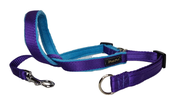 Colour 2Posh2Pull™ - Purple