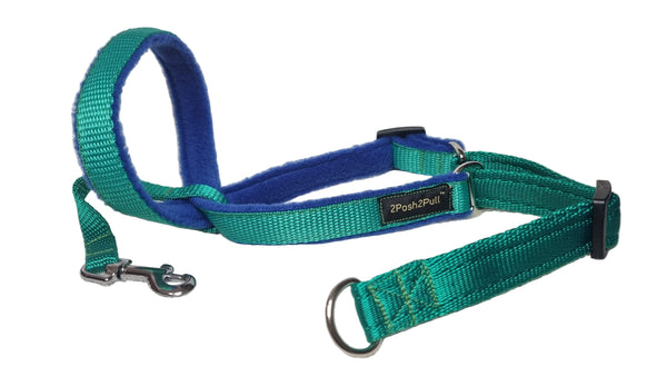 Colour 2Posh2Pull™ - Green