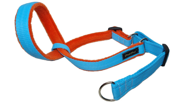 Colour 2Posh2Pull™ - Turquoise