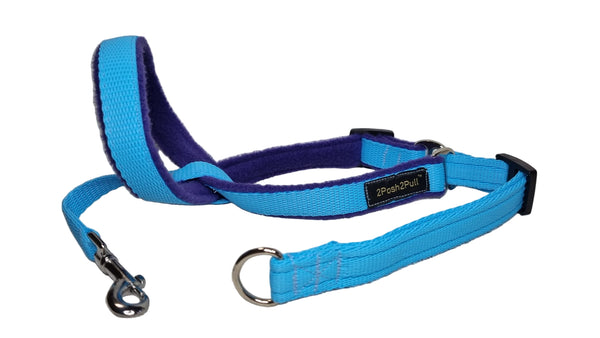 Colour 2Posh2Pull™ - Turquoise