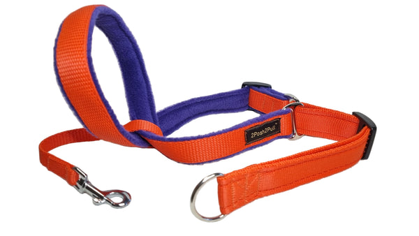 Colour 2Posh2Pull™ - Orange