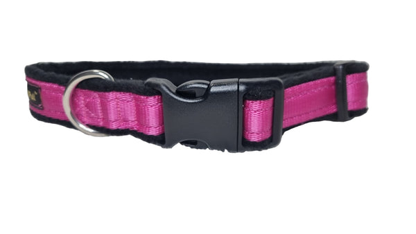 Colour Collar - Pink