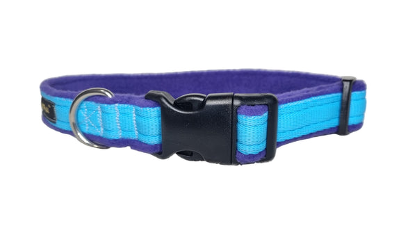 Colour Collar - Turquoise