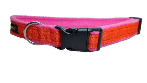 Colour Collar - Orange
